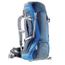 Deuter Design Backpack